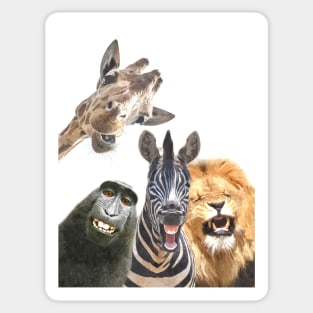 Jungle Animal Friends Sticker